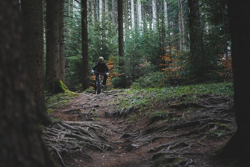 Historic Trails