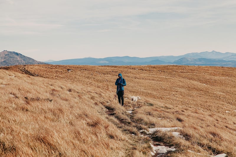 Off-the-Grid Expeditions