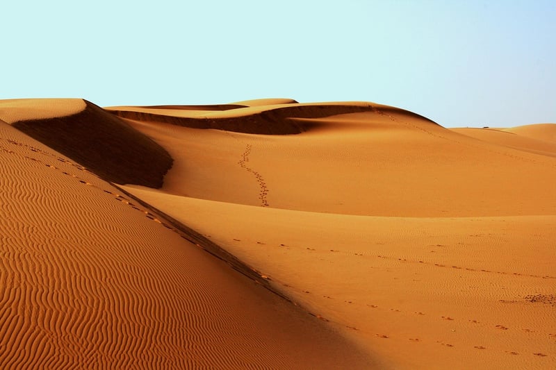Desert Safari Adventures